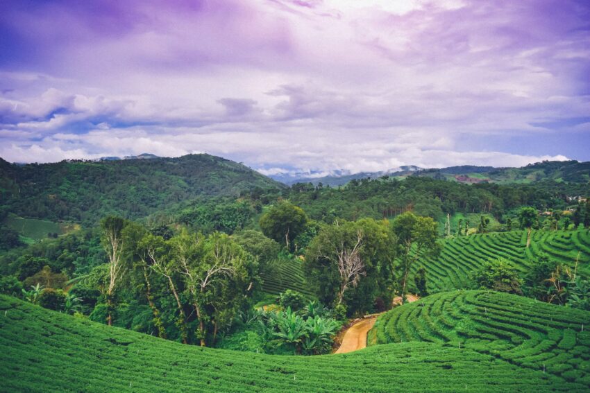 Best Hotels in Chiang Rai