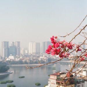 Vietnam 7 Days Itinerary