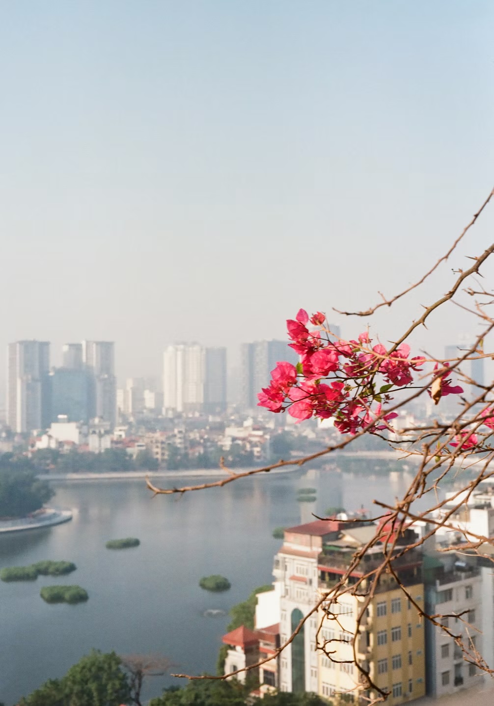 Vietnam 7 Days Itinerary